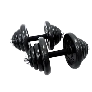 Desire Gym 50kg Iron Dumbbell Set