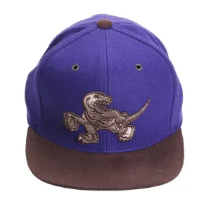 Mitchell & Ness NBA Toronto Raptors Winter Suede Strapback